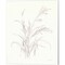 Nature Sketchbook by Danhui Nai 12" x 15" Canvas Wall Art (Set of 2)